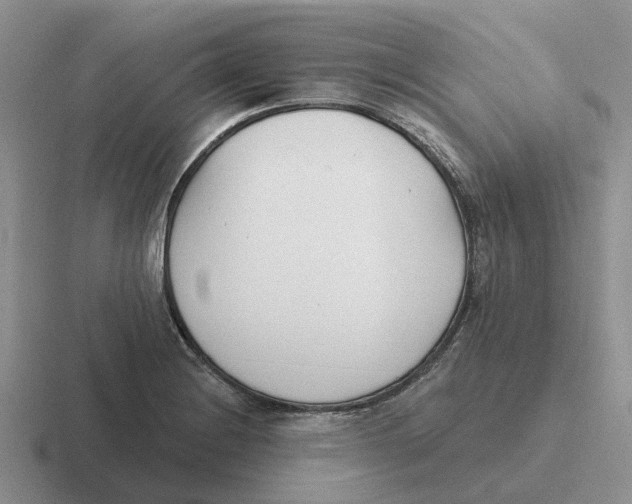 X0000116651228201001041044