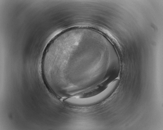 X0000116651229201001041044