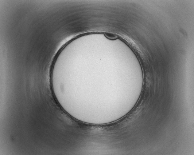 X0000116651230201001041044