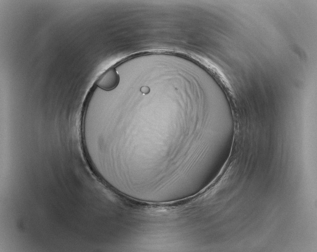 X0000116651231201001041044