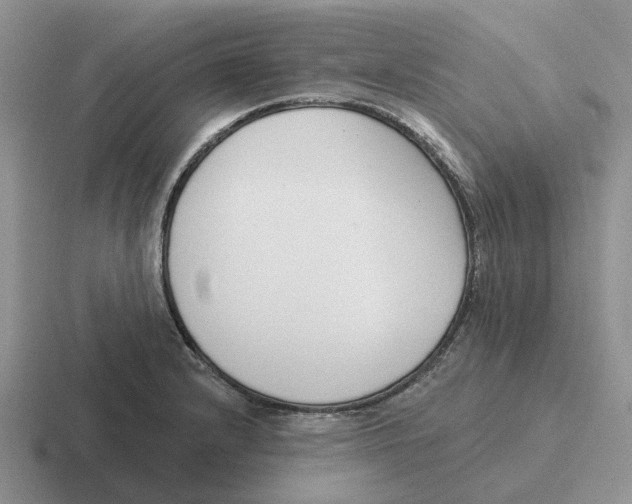 X0000116651232201001041044