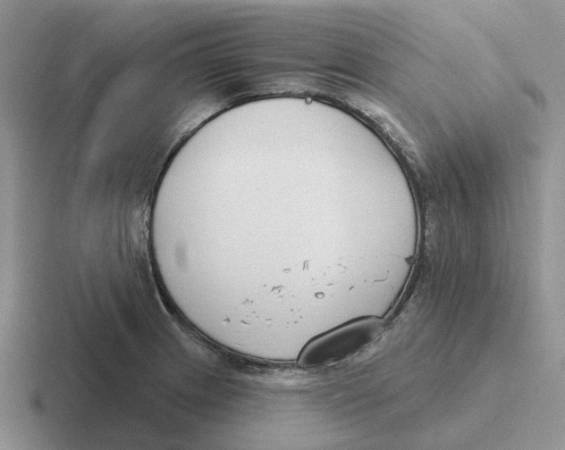 X0000116651233201001041044