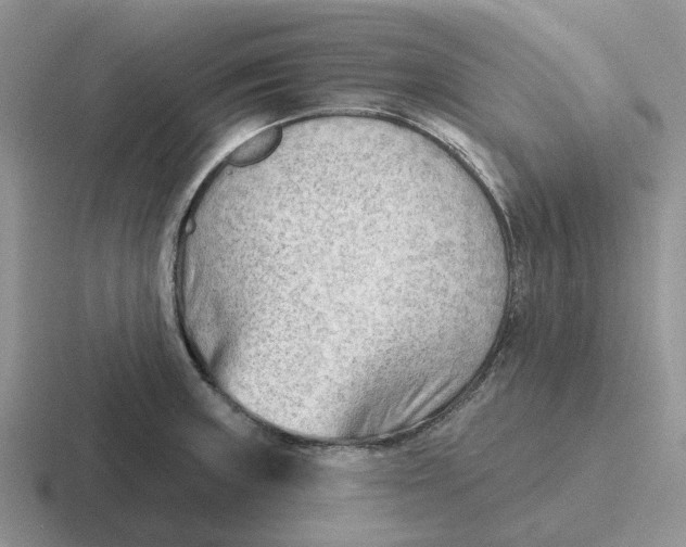 X0000116651235201001041044