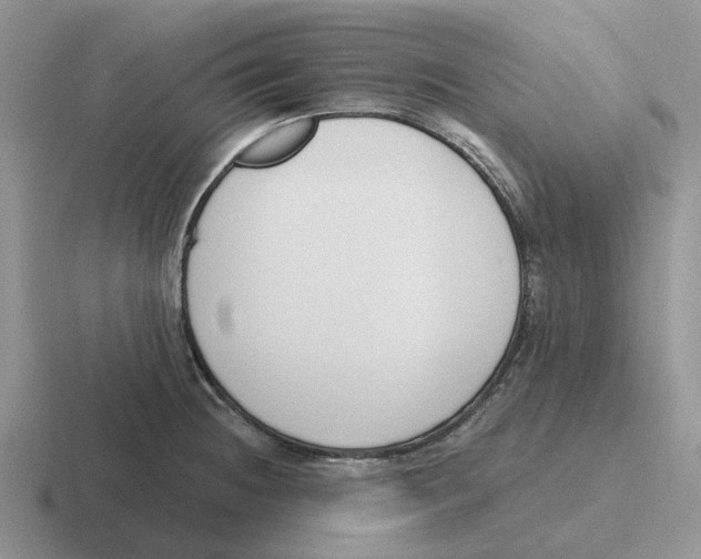 X0000116651236201001041044