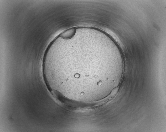 X0000116651237201001041044