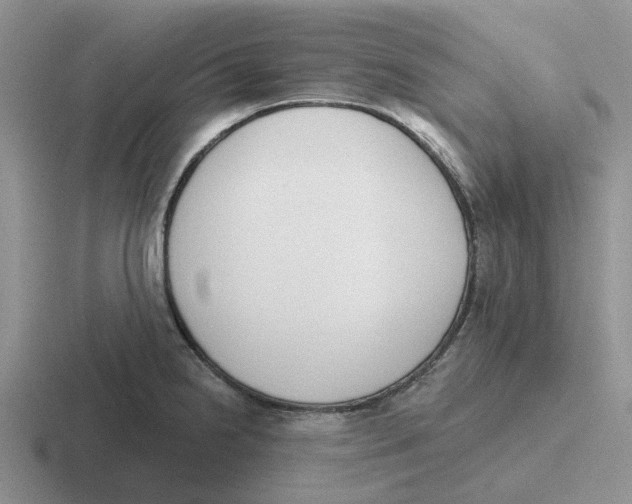 X0000116651238201001041044