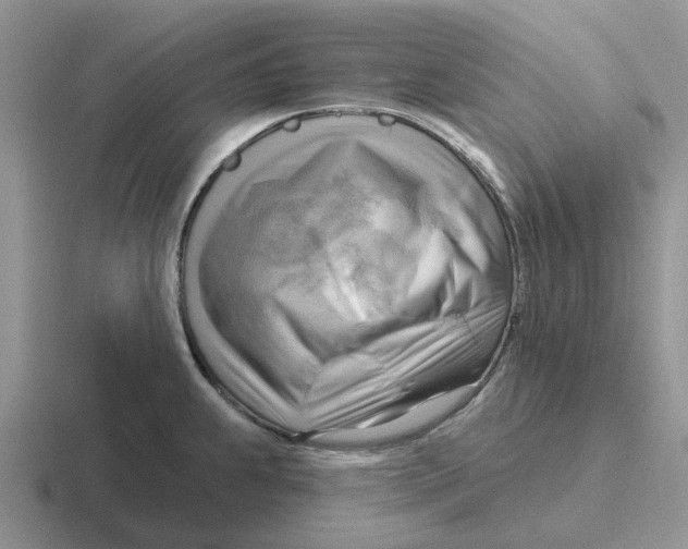 X0000116651239201001041044