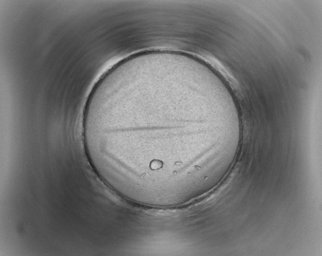 X0000116651240201001041044