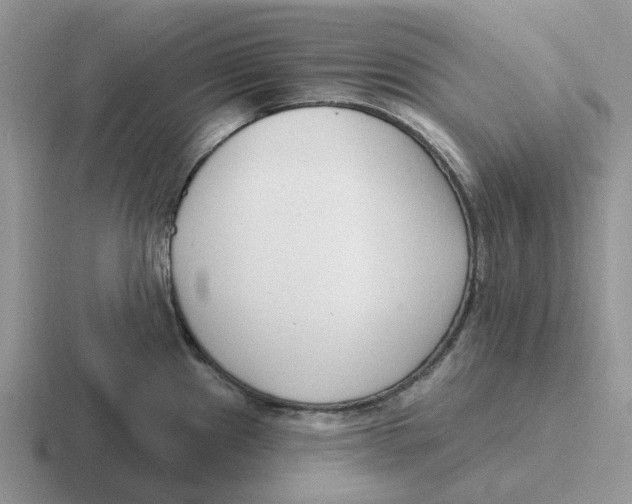 X0000116651241201001041044