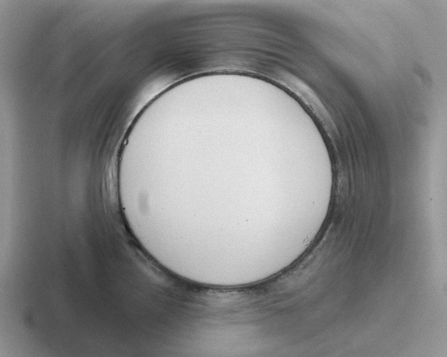 X0000116651242201001041044