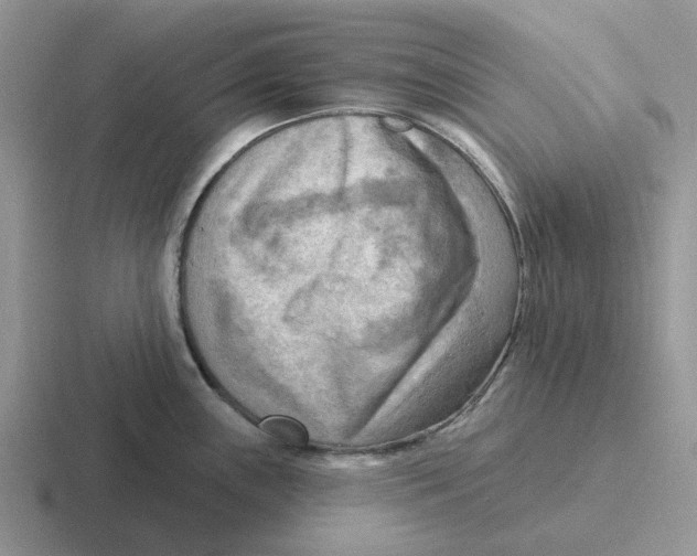 X0000116651243201001041044