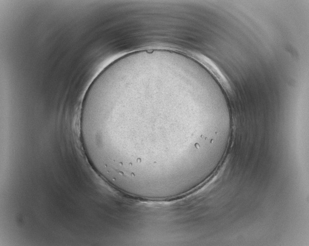 X0000116651244201001041044