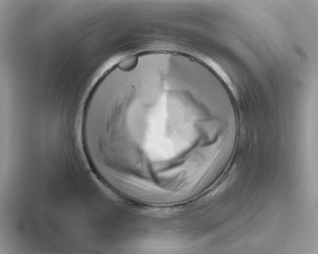 X0000116651245201001041044