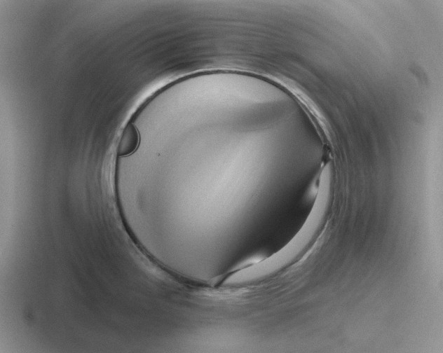 X0000116651246201001041044