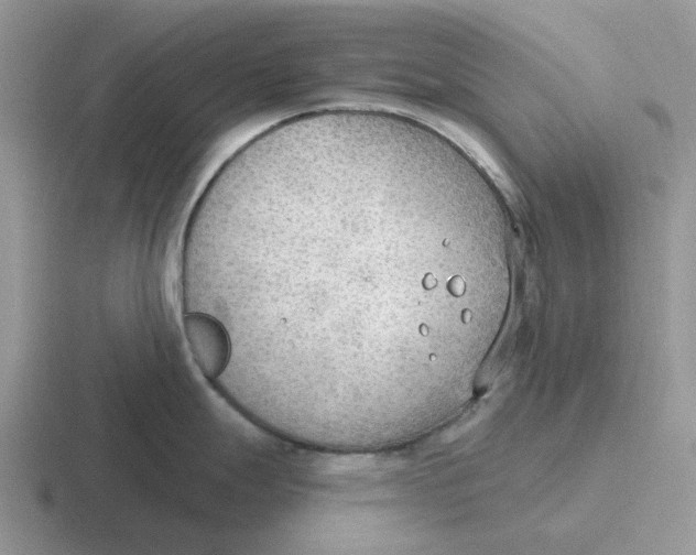 X0000116651247201001041044