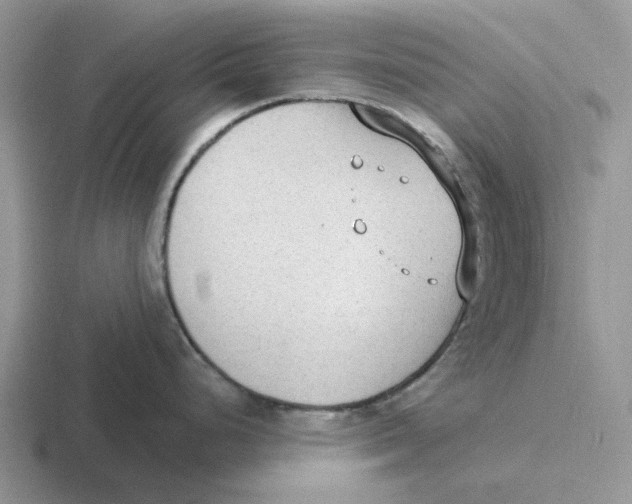 X0000116651248201001041044