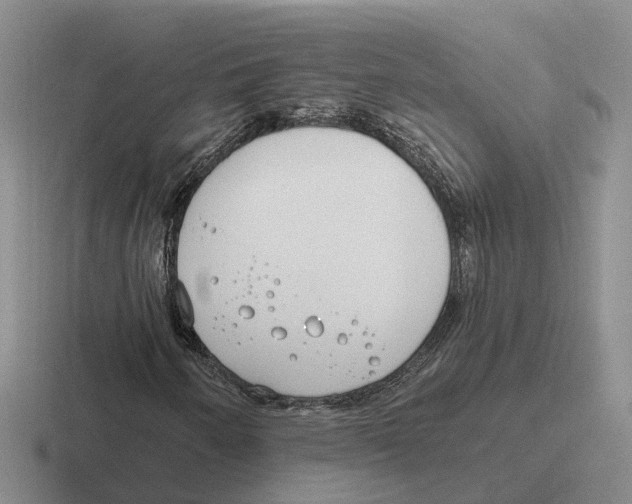 X0000116651250201001041043