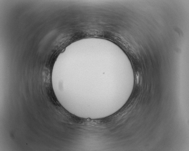 X0000116651251201001041043