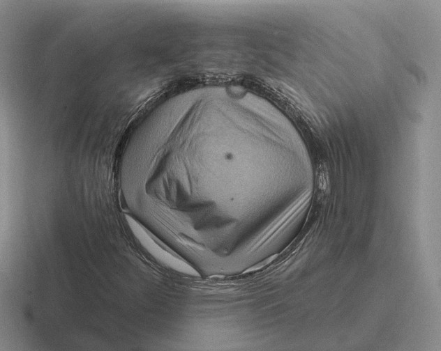 X0000116651252201001041043