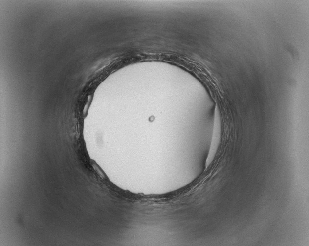 X0000116651253201001041043