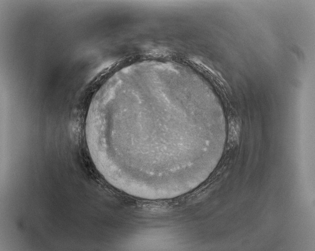 X0000116651254201001041043