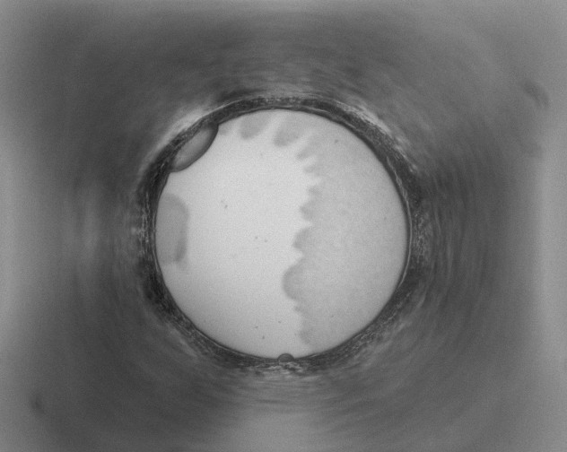 X0000116651255201001041043