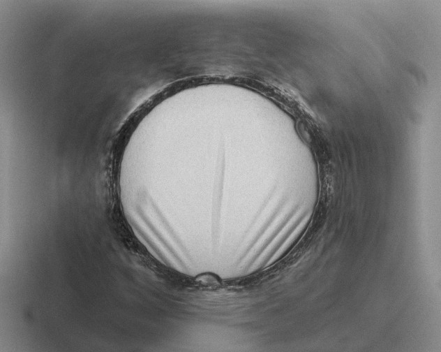 X0000116651256201001041043