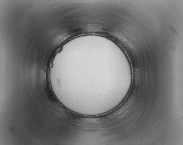 X0000116651257201001041043