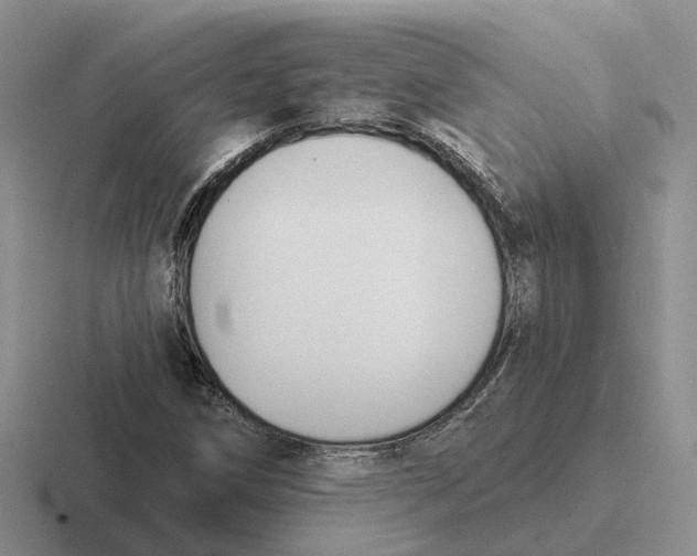 X0000116651258201001041043