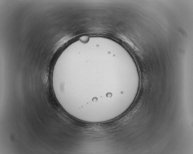 X0000116651259201001041043