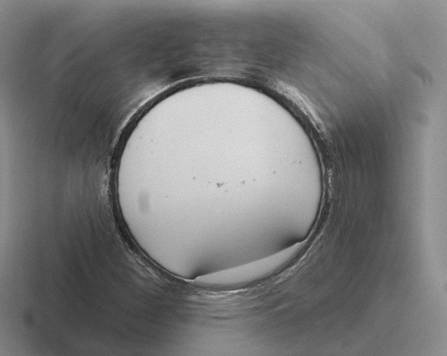 X0000116651260201001041043