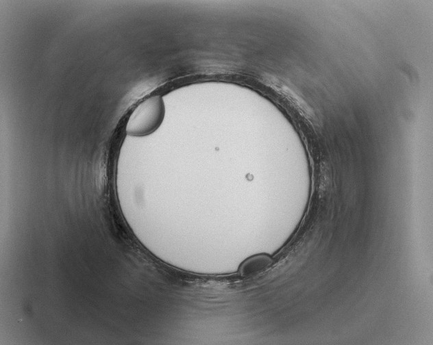 X0000116651261201001041043