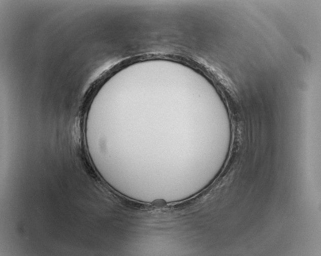 X0000116651262201001041043