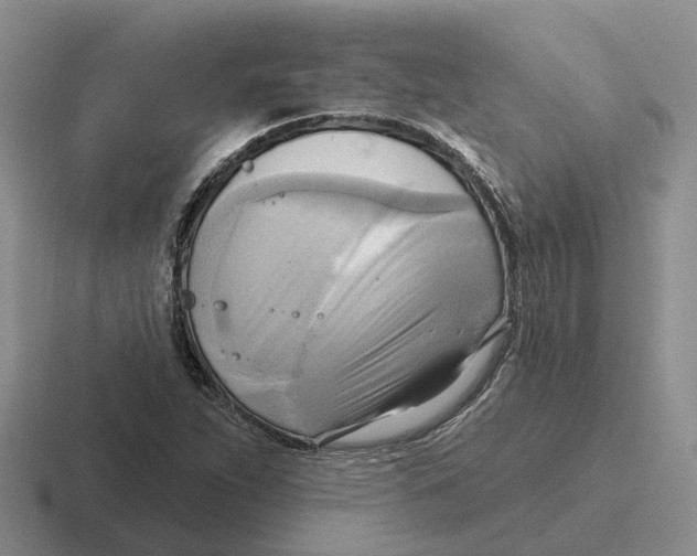 X0000116651263201001041043