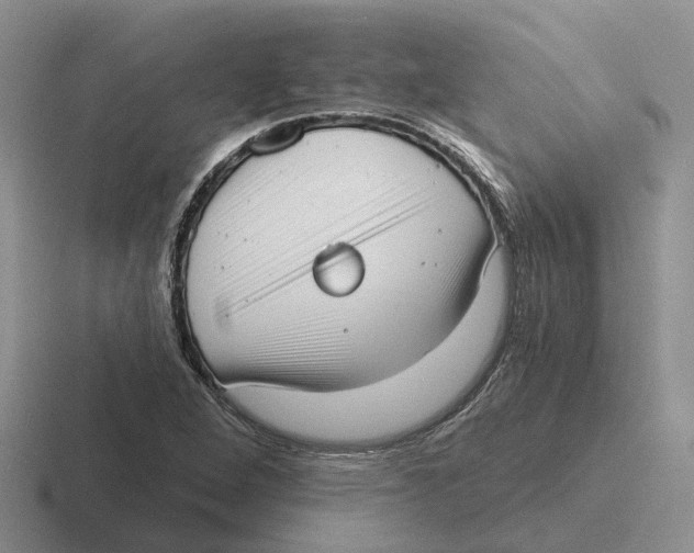 X0000116651264201001041043