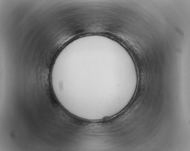 X0000116651265201001041043