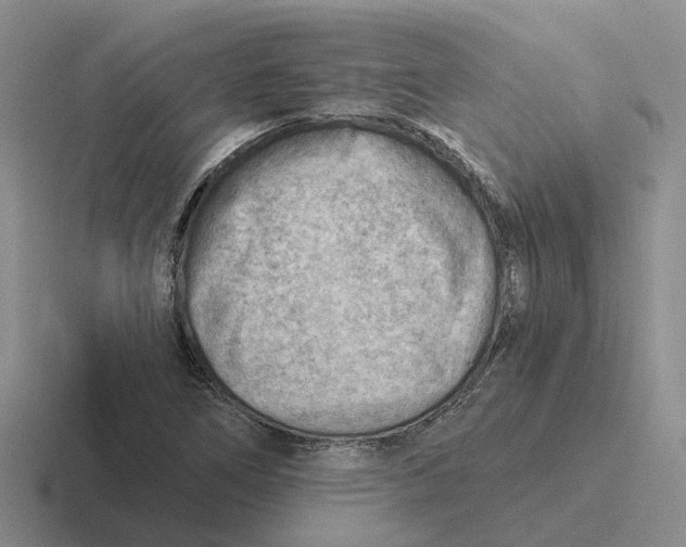 X0000116651266201001041043