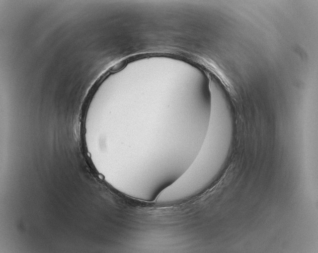 X0000116651268201001041043