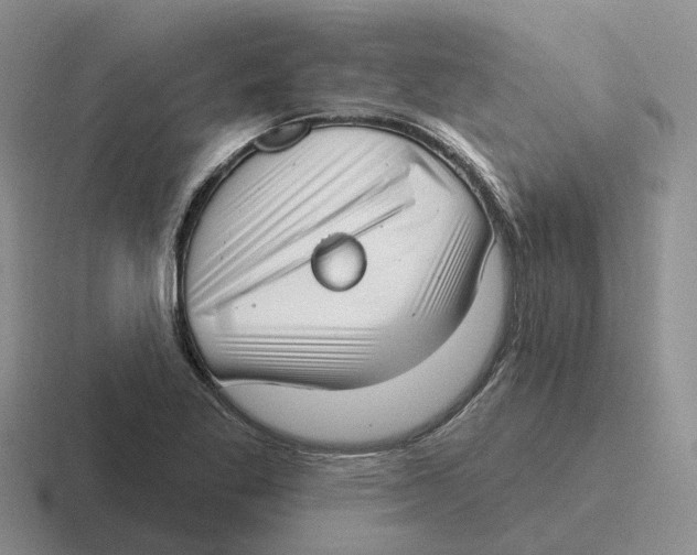 X0000116651269201001041043