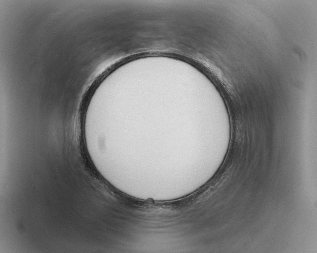 X0000116651270201001041043