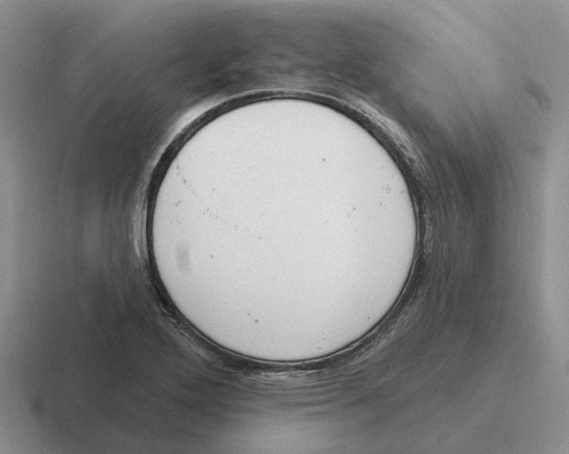 X0000116651272201001041043