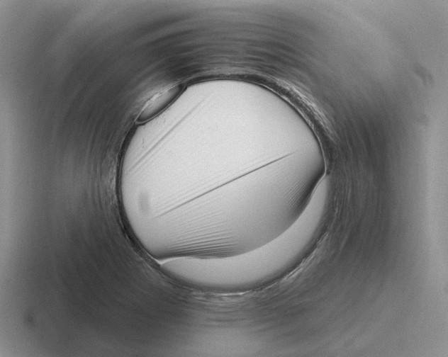 X0000116651273201001041043