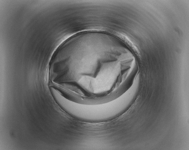 X0000116651276201001041043