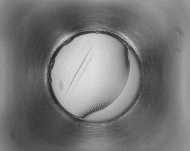 X0000116651277201001041043