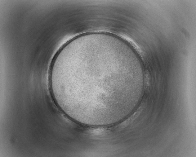 X0000116651278201001041043