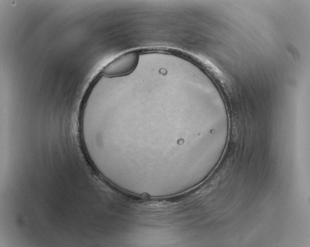 X0000116651279201001041043