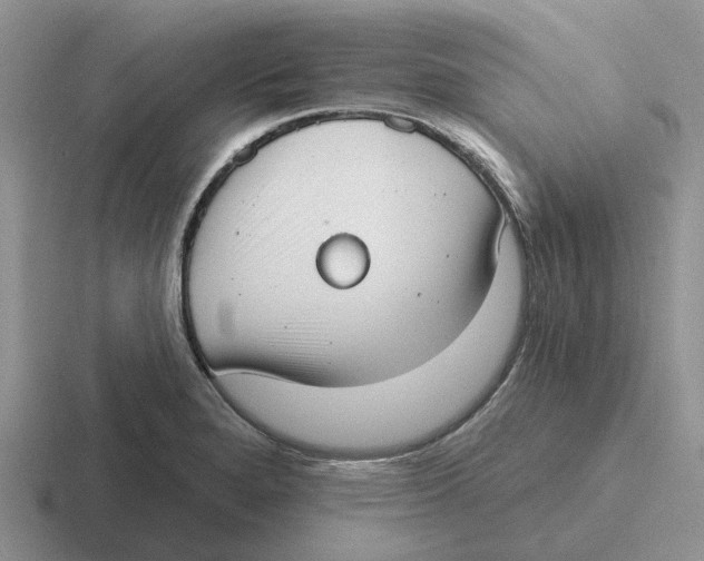 X0000116651280201001041043