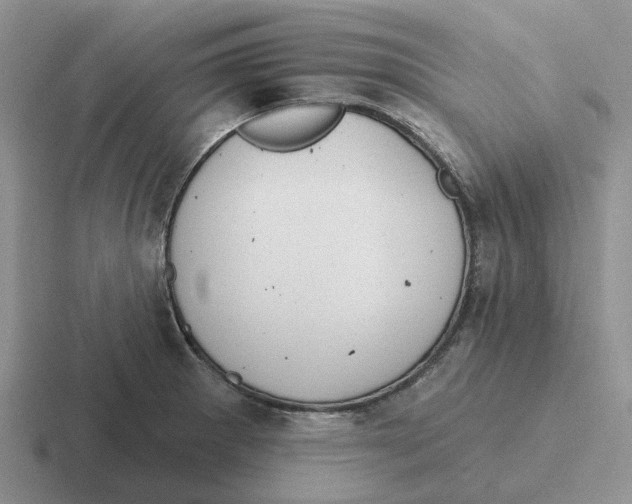 X0000116651281201001041043