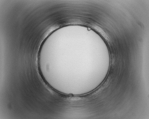 X0000116651282201001041043