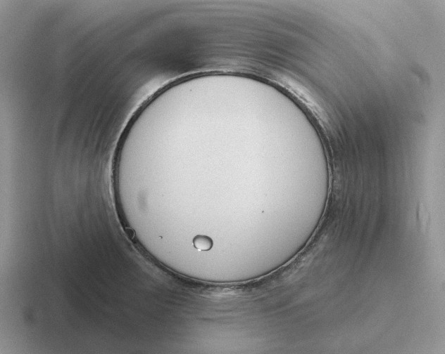 X0000116651283201001041043